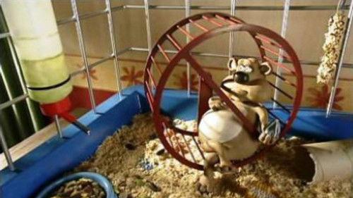 Creature Comforts Season 2 Episode 2 - The Brood