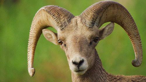 America's National Parks Season 1 Episode 3 - Big Bend