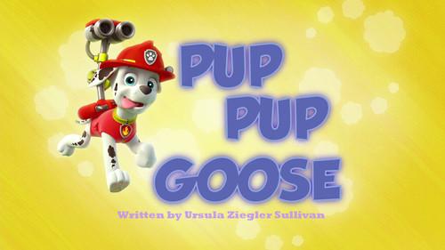 PAW Patrol Season 1 Episode 9 - Pup Pup Goose