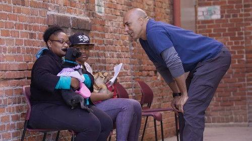 The Street Vet Season 1 Episode 7 - Walter & Dinker