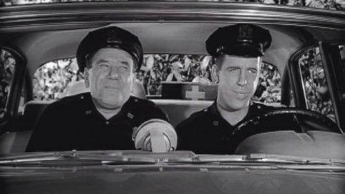 Car 54, Where Are You? Season 1 Episode 19 - Toody's Paradise