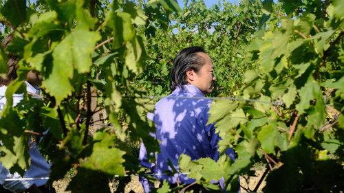 Great Performances Season 47 Episode 4 - Now Hear This “Handel: Italian Style”