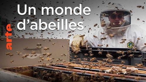 Mapping the World Season 32 Episode 23 - Bees and Agriculture