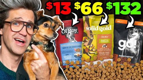 Good Mythical Morning Season 23 Episode 19 - Is Expensive Dog Food Worth It?
