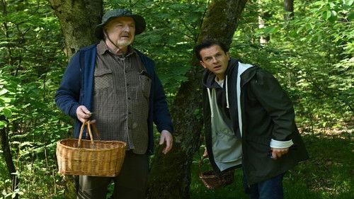 Komisarz Alex Season 20 Episode 6 - Episode 6