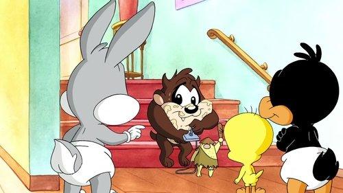 Baby Looney Tunes Season 1 Episode 34 - Did Not! Did Too!