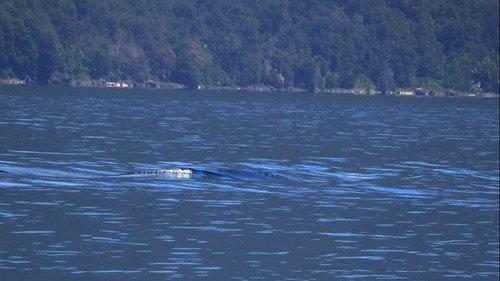 Paranormal Caught on Camera Season 2 Episode 7 - A Colossal Lake Creature in Chile and More