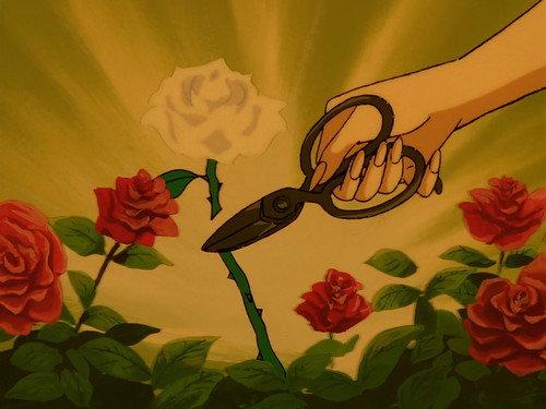 Dear Brother Season 1 Episode 20 - The Gardening Shears