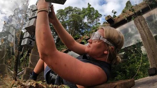 I'm a Celebrity...Get Me Out of Here! Season 23 Episode 1 - Episode 1