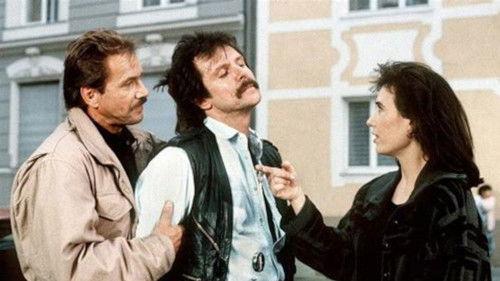 Scene of the Crime Season 19 Episode 9 - Solitary confinement