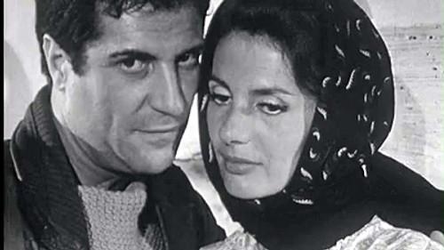 Poly Season 4 Episode 11 - Episode 11