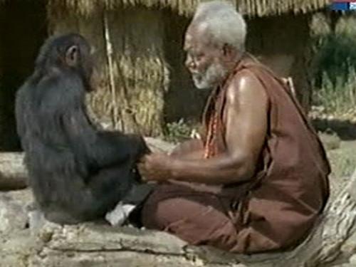 Daktari Season 3 Episode 19 - The Big Switch