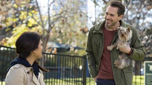 Life in Pieces Season 1 Episode 20 - Prank  Assistant Gum Puppy