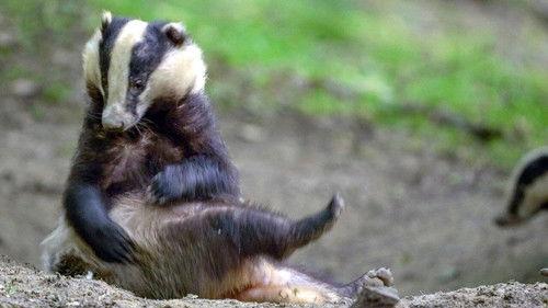 Des bêtes et des sorcières Season 1 Episode 2 - Episode 2