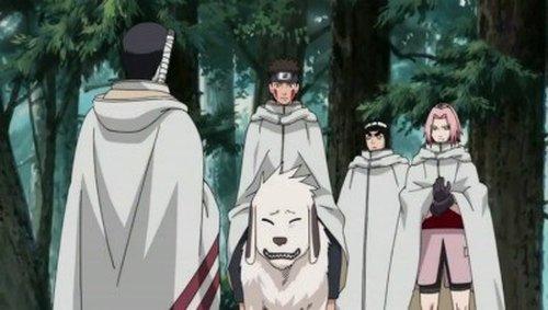 Naruto Shippūden Season 10 Episode 212 - Sakura's Resolve