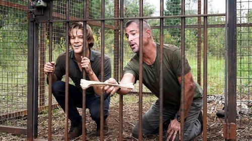 MacGyver Season 3 Episode 9 - Specimen 234 + PAPR + Outbreak