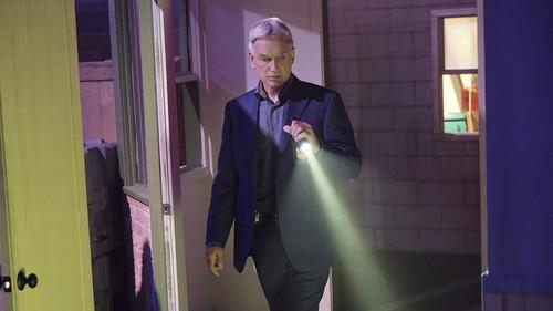 NCIS Season 13 Episode 21 - Return to Sender