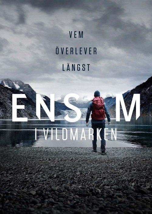 Alone Sweden poster