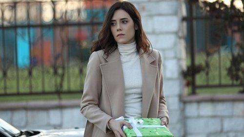 A Woman Scorned Season 2 Episode 14 - Episode 14