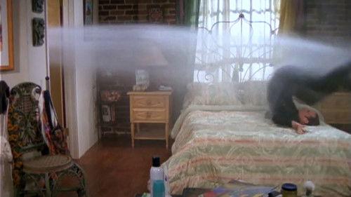 Caroline in the City Season 2 Episode 22 - Caroline and the Ombudsman