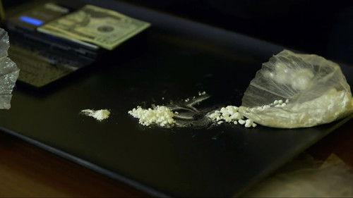 Drugs, Inc. Season 6 Episode 8 - Mardi Gras