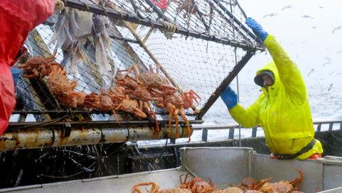 Deadliest Catch Season 19 Episode 18 - Disorder on the Border