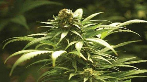 America's Book of Secrets Season 2 Episode 8 - The Drug Wars