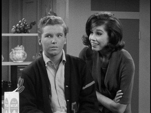 The Dick Van Dyke Show Season 4 Episode 3 - The Lady and the Babysitter