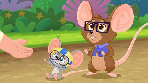 Vida the Vet Season 2 Episode 9 - Baby Mouse’s First Step