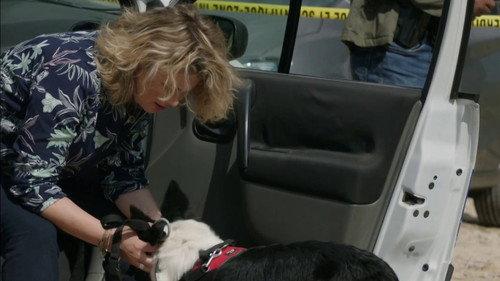 Candice Renoir Season 6 Episode 5 - A Dog Is a Man's Best Friend