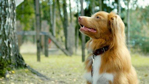 Five Minutes of Silence Season 2 Episode 6 - Episode 6