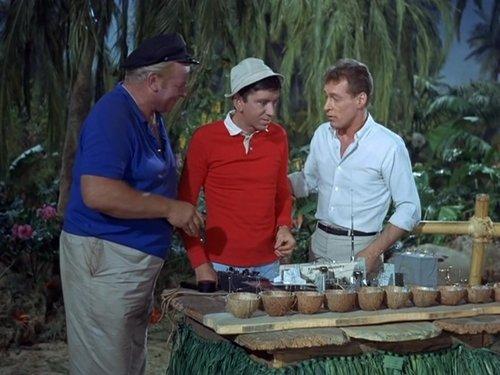 Gilligan's Island Season 2 Episode 6 - Quick Before It Sinks