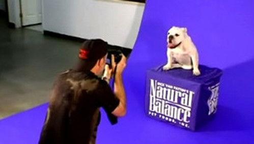 Rob & Big Season 3 Episode 4 - Meaty Goes To Hollywood