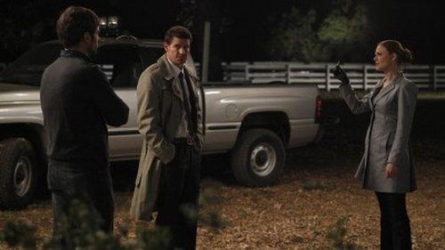 Bones Season 5 Episode 13 - The Dentist in the Ditch