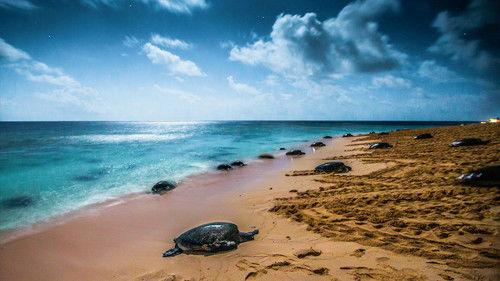 Magical Land of Oz Season 1 Episode 1 - Oceans