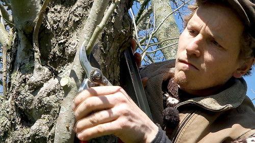 Frank & Kastaniegaarden Season 14 Episode 5 - Episode 5