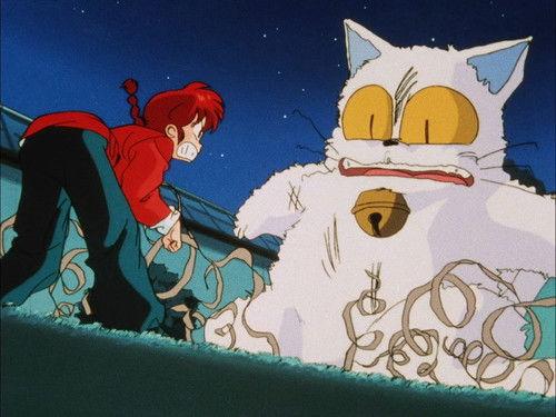 Ranma ½ Season 1 Episode 72 - My Fiance, the Cat