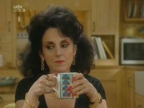 Birds of a Feather Season 5 Episode 7 - A Brush with the Law