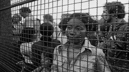 La Case du siècle Season 15 Episode 14 - Episode 14