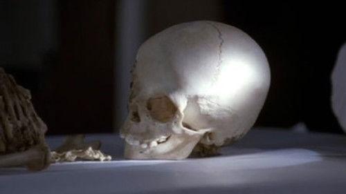 undefined Season 6 Episode 6 - Where & Why (II)