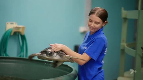 Gold Coast Ocean Rescue Season 1 Episode 10 - Episode 10