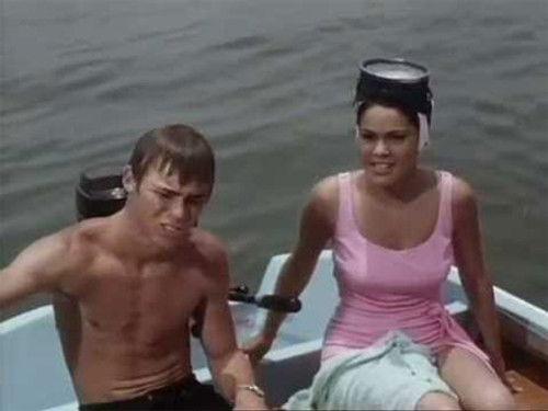 Flipper Season 3 Episode 6 - Cupid Flipper