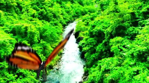 Through the Wormhole Season 2 Episode 1 - Is There Life After Death?