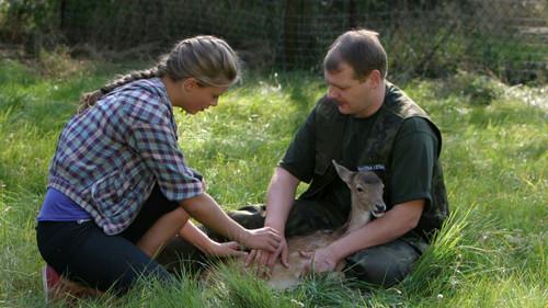 Blondynka Season 1 Episode 4 - Episode 4