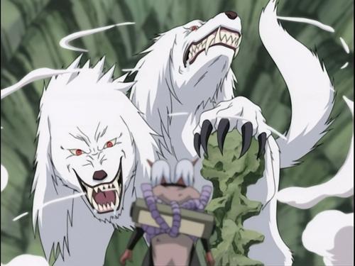 Naruto Season 3 Episode 120 - Roar and Howl! The Ultimate Tag-Team!