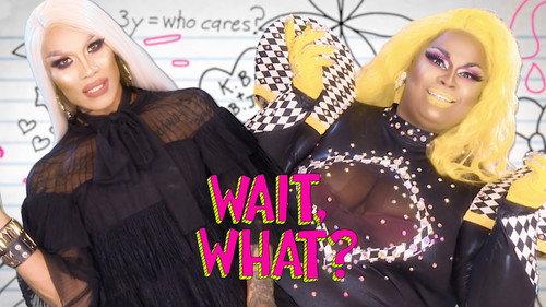 Wait, What? Season 1 Episode 17 - Conservation