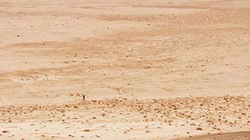 Bear Grylls: Escape From Hell Season 1 Episode 3 - Desert