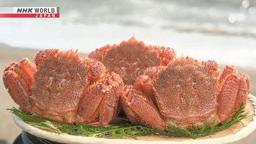 Trails to Oishii Tokyo Season 4 Episode 24 - HORSEHAIR CRABS