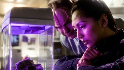 Star Trek: Enterprise Season 1 Episode 3 - Fight or Flight