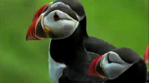 Trials of Life Season 1 Episode 4 - Hunting and Escaping